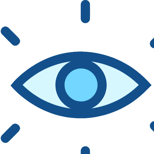 Vision Icon